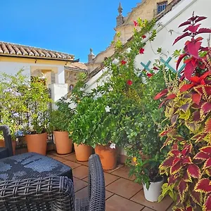 apartamentos-los-descalzos-angel.es-andalucia.com/